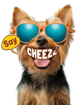 Say CHEEZZ!